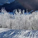Twin Peak Edelweiss *