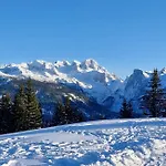 Twin Peak Edelweiss * Gosau