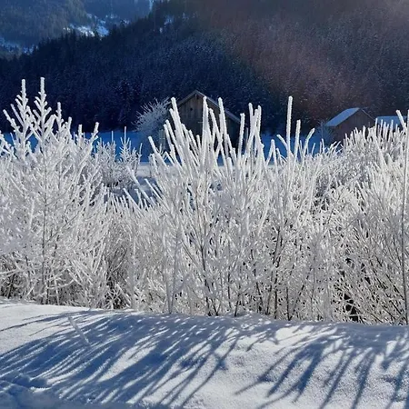 Twin Peak Edelweiss *