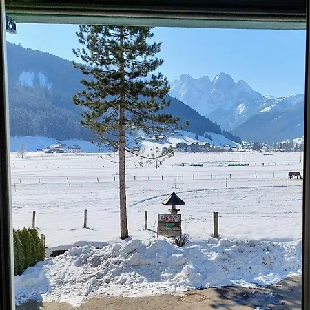 Twin Peak Edelweiss *