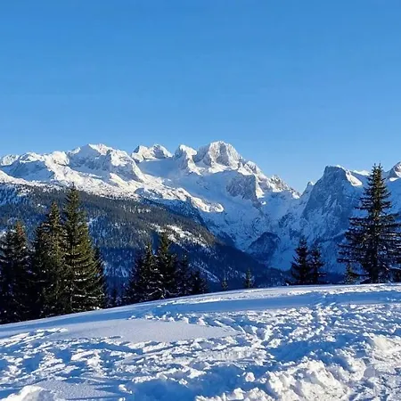 Twin Peak Edelweiss * Gosau