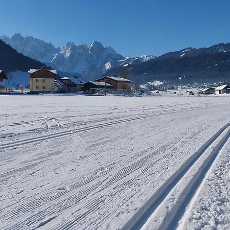 Twin Peak Edelweiss * Gosau