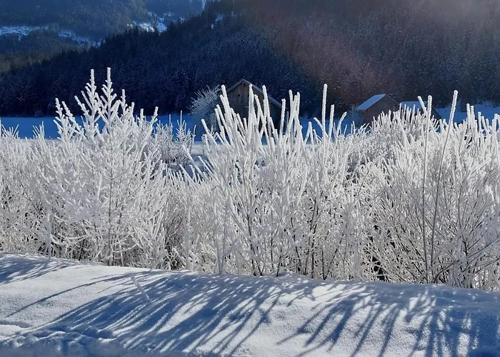 Twin Peak Edelweiss *