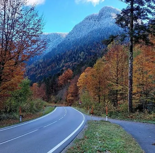 Twin Peak Edelweiss *