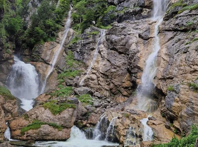 Twin Peak Edelweiss Apartment