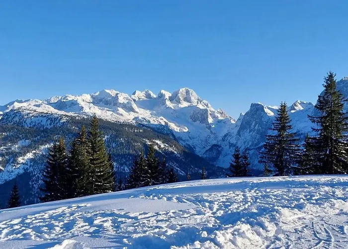 Twin Peak Edelweiss * Gosau