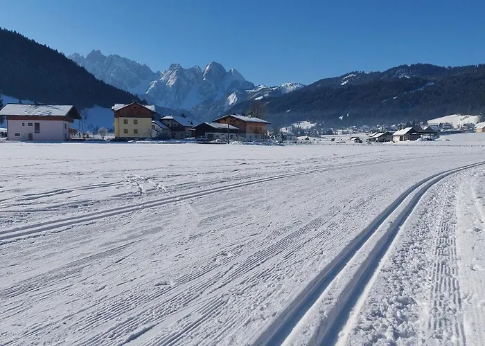 Twin Peak Edelweiss * Gosau